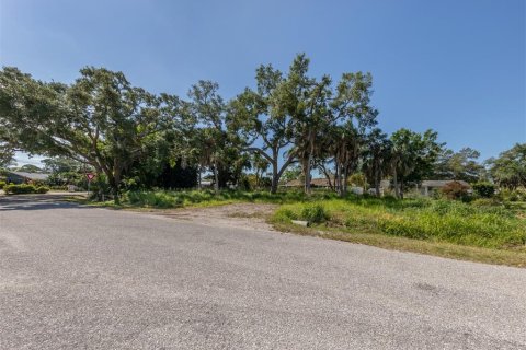 Terreno en venta en Venice, Florida № 1114692 - foto 7