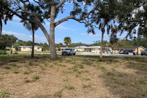 Terreno en venta en Venice, Florida № 1114692 - foto 20