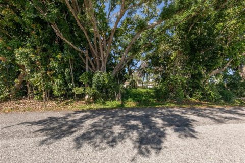 Terreno en venta en Venice, Florida № 1114692 - foto 15