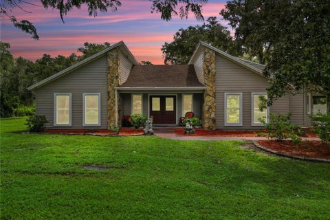 Villa ou maison à vendre à Plant City, Floride: 3 chambres, 221.76 m2 № 1893960 - photo 1