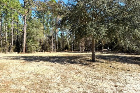 House in Ocala, Florida 3 bedrooms, 207.36 sq.m. № 2124224 - photo 5