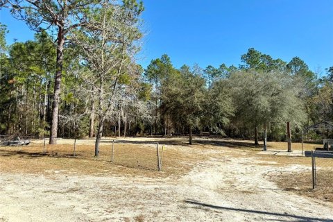 House in Ocala, Florida 3 bedrooms, 207.36 sq.m. № 2124224 - photo 4