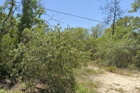 Land in Homosassa, Florida № 2158954 - photo 3