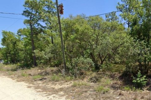 Land in Homosassa, Florida № 2158954