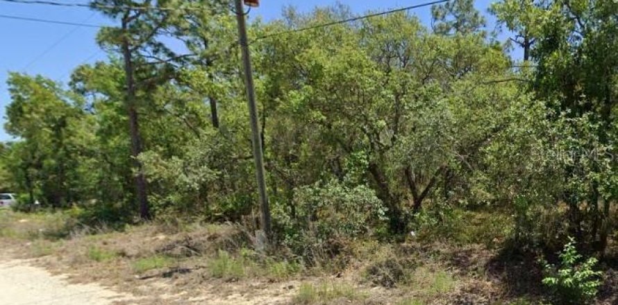 Land in Homosassa, Florida № 2158954