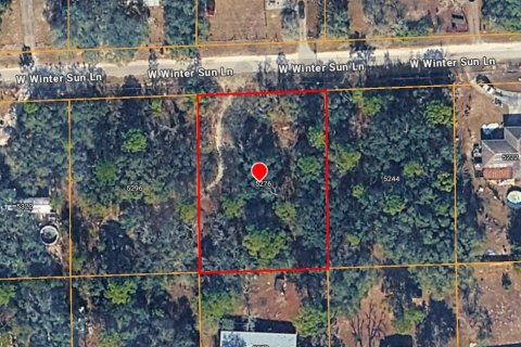 Land in Homosassa, Florida № 2158954 - photo 2