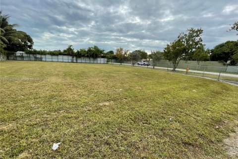 Land in Homestead, Florida № 1955840 - photo 3