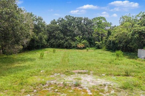 Terreno en venta en Tampa, Florida № 2324529 - foto 17