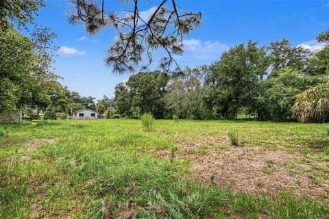 Terreno en venta en Tampa, Florida № 2324529 - foto 18