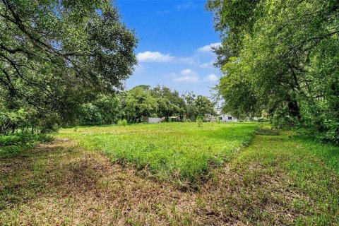 Terreno en venta en Tampa, Florida № 2324529 - foto 19