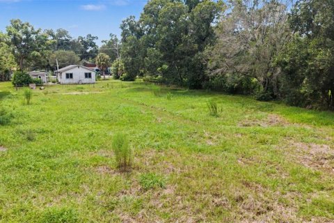 Terreno en venta en Tampa, Florida № 2324529 - foto 13