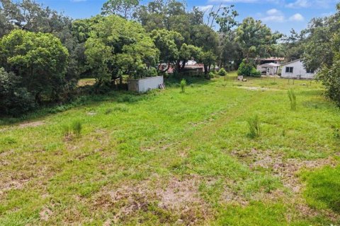 Terreno en venta en Tampa, Florida № 2324529 - foto 14