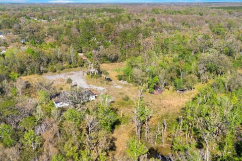 Terreno en venta en Orlando, Florida № 2371403 - foto 5