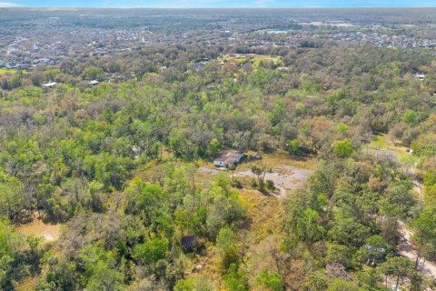 Terreno en venta en Orlando, Florida № 2371403 - foto 8