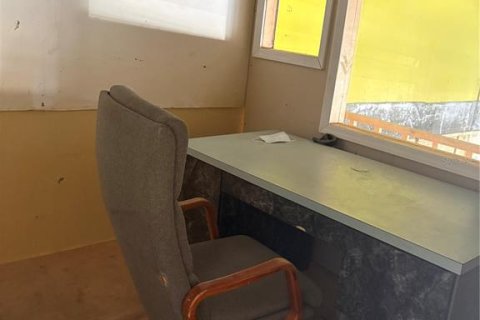 Immobilier commercial à louer à Tampa, Floride: 2950.3 m2 № 2214634 - photo 9