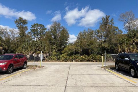 Immobilier commercial à louer à Tampa, Floride: 2950.3 m2 № 2214634 - photo 13