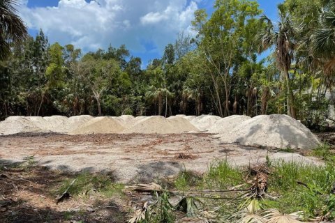 Land in Fort Myers, Florida № 1410087 - photo 10