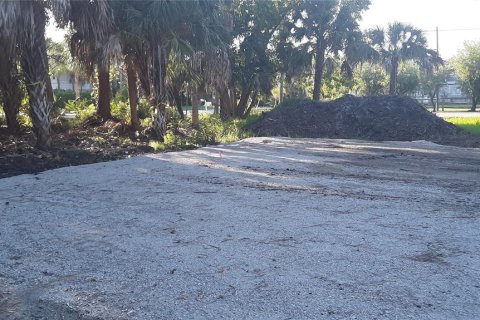 Land in Fort Myers, Florida № 1410087 - photo 5
