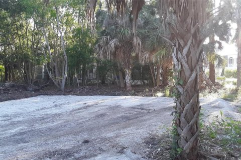 Land in Fort Myers, Florida № 1410087 - photo 8