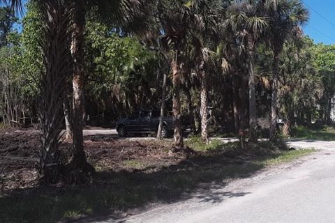 Land in Fort Myers, Florida № 1410087 - photo 7