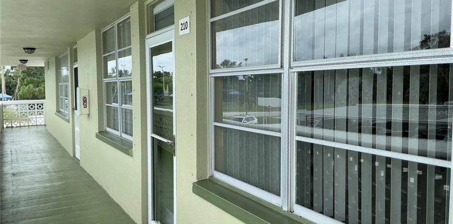 Studio à Condo à Saint Petersburg, Floride № 2406470
