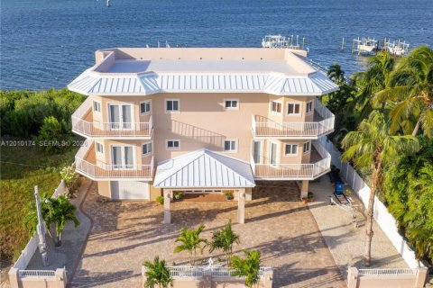 Villa ou maison à Key Largo, Floride 5 chambres, 447.97 m2 № 2074863