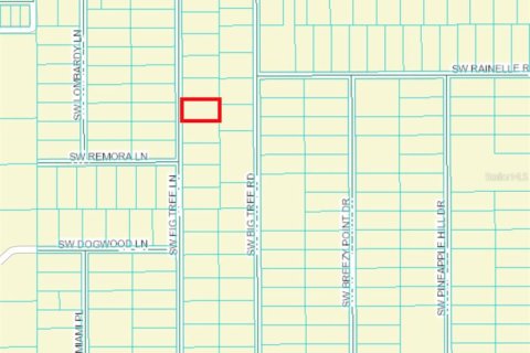 Terreno en venta en Dunnellon, Florida № 1630173 - foto 2
