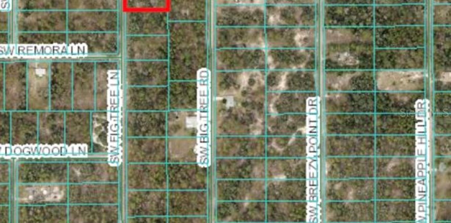 Land in Dunnellon, Florida № 1630173