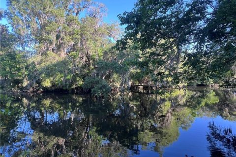 Terreno en venta en Inglis, Florida № 1720391 - foto 1