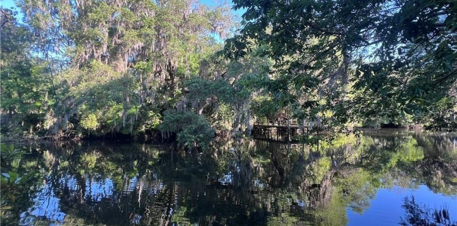 Terrain à Inglis, Floride № 1720391