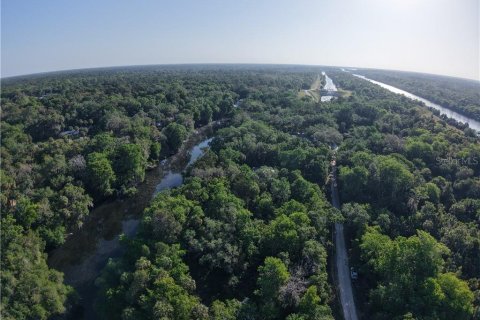 Купить земельный участок в Инглис, Флорида № 1720391 - фото 9