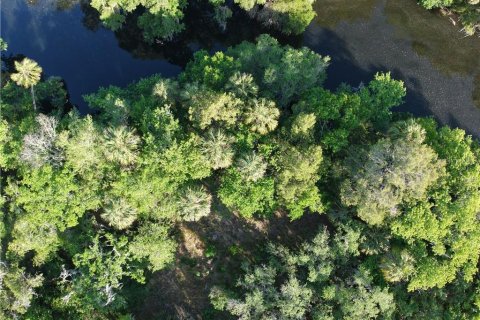 Land in Inglis, Florida № 1720391 - photo 3