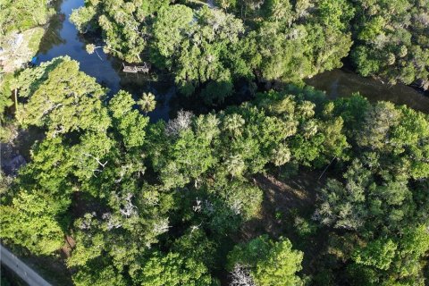 Land in Inglis, Florida № 1720391 - photo 6