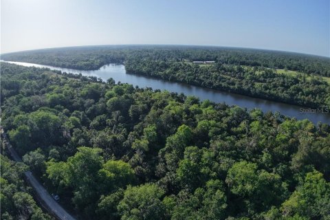 Land in Inglis, Florida № 1720391 - photo 10