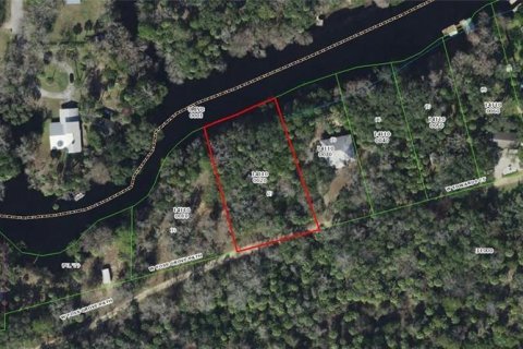 Land in Inglis, Florida № 1720391 - photo 22