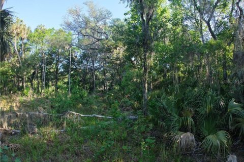 Terreno en venta en Inglis, Florida № 1720391 - foto 19