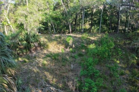 Land in Inglis, Florida № 1720391 - photo 20
