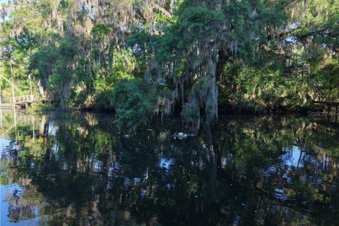 Land in Inglis, Florida № 1720391 - photo 2