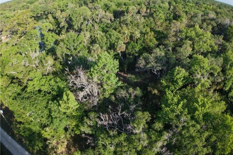 Land in Inglis, Florida № 1720391 - photo 15