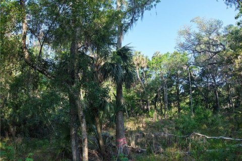 Land in Inglis, Florida № 1720391 - photo 17