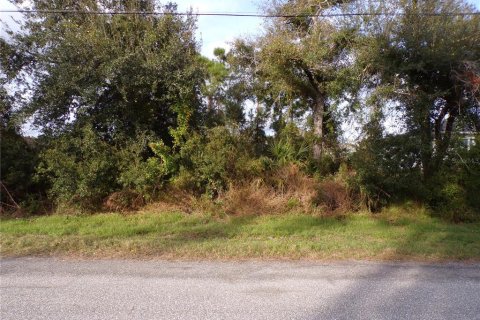 Land in North Port, Florida № 2165364