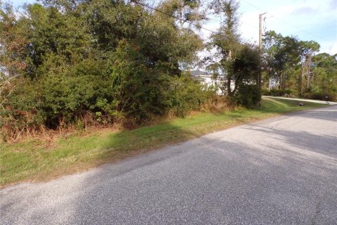 Land in North Port, Florida № 2165364 - photo 3