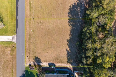 Land in Fruitland Park, Florida № 2213182 - photo 3