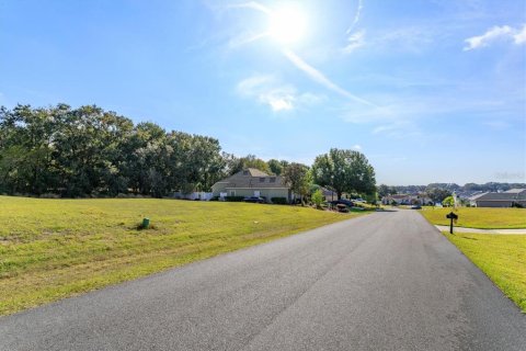 Land in Fruitland Park, Florida № 2213182