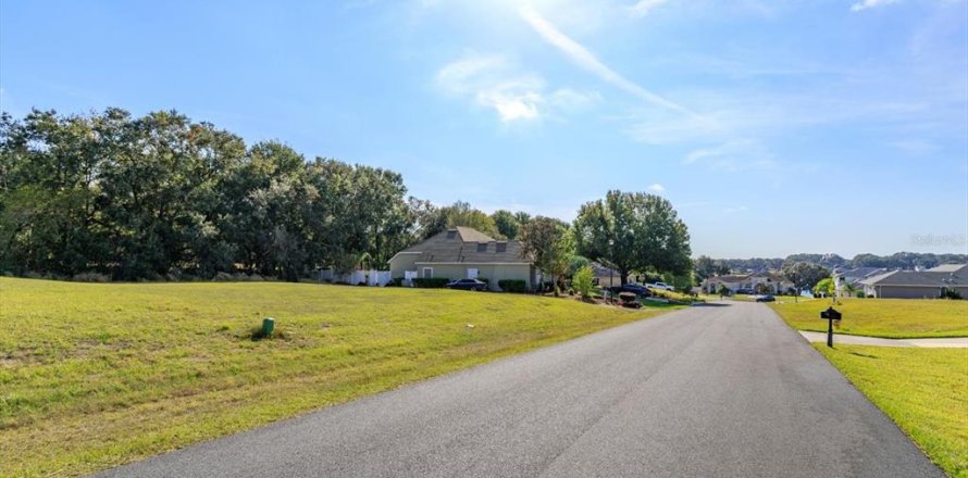 Land in Fruitland Park, Florida № 2213182