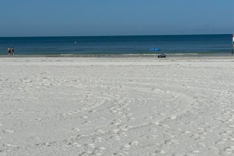 Land in Indian Rocks Beach, Florida № 1571447 - photo 10