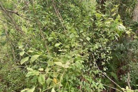 Land in Kissimmee, Florida № 2159560