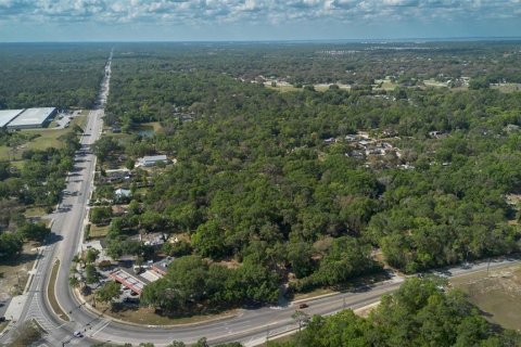 Casa en venta en Apopka, Florida, 2 dormitorios, 111.11 m2 № 1614786 - foto 11