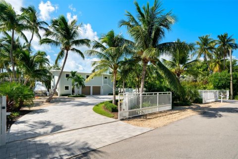 Villa ou maison à vendre à Islamorada, Village of Islands, Floride: 4 chambres № 1859075 - photo 6