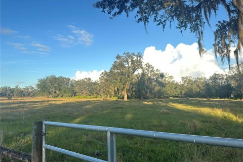 Terrain à vendre à Wauchula, Floride № 1559471 - photo 2